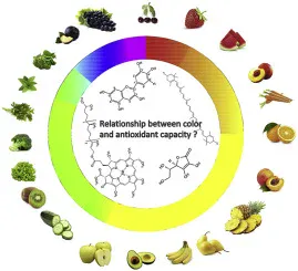 Antioxidantes según el color de los vegetales